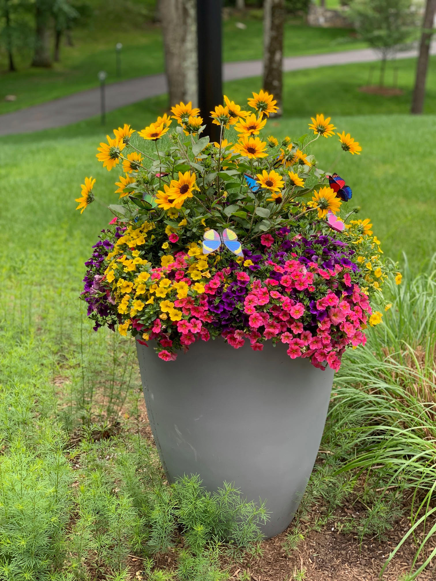 Flower Pots Designed and Planted by Peter Atkins and Associates