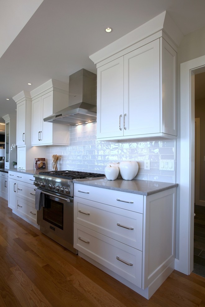 Kitchen - transitional kitchen idea in Boston