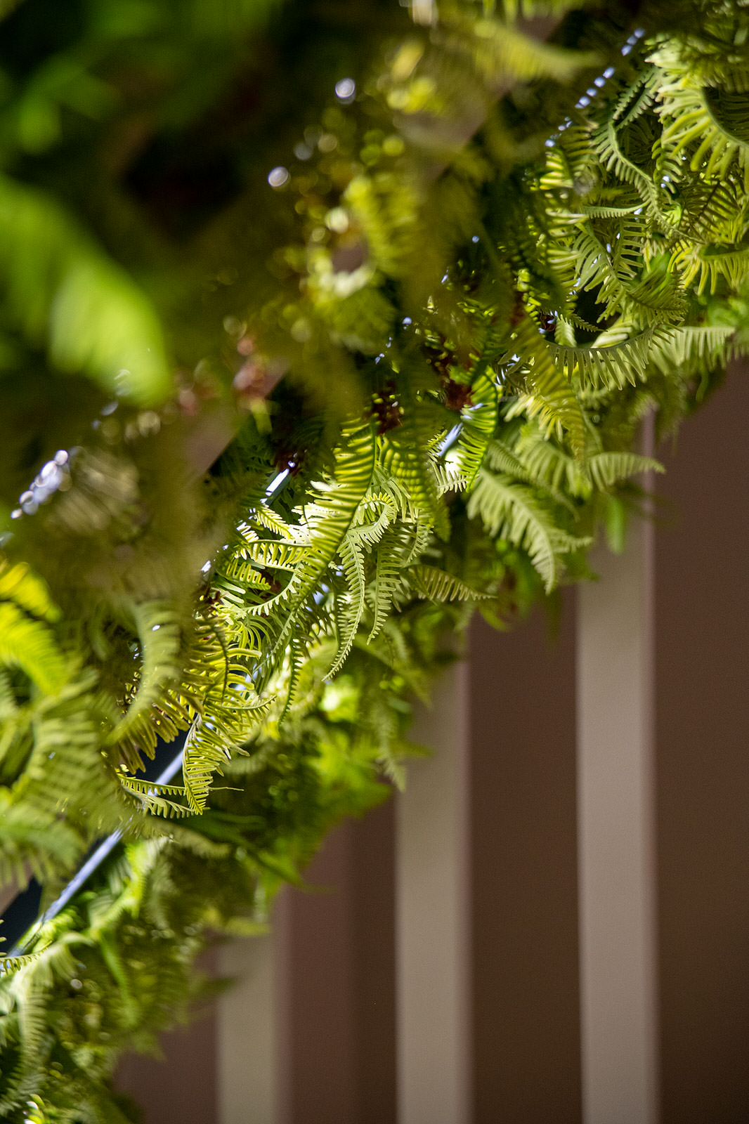 Мансарда. Фазенда Лайф