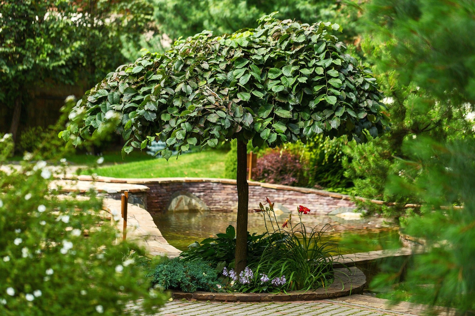 Озеленение жилого комплекса