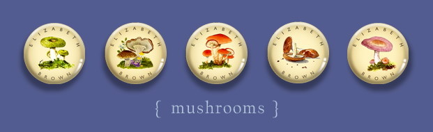 Mushrooms by Tiny Magnetizers