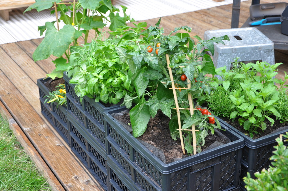 Moderne Wohnidee in Berlin