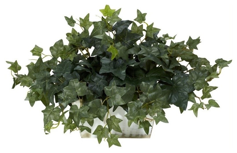 Ivy With White Wash Planter Silk Plant
