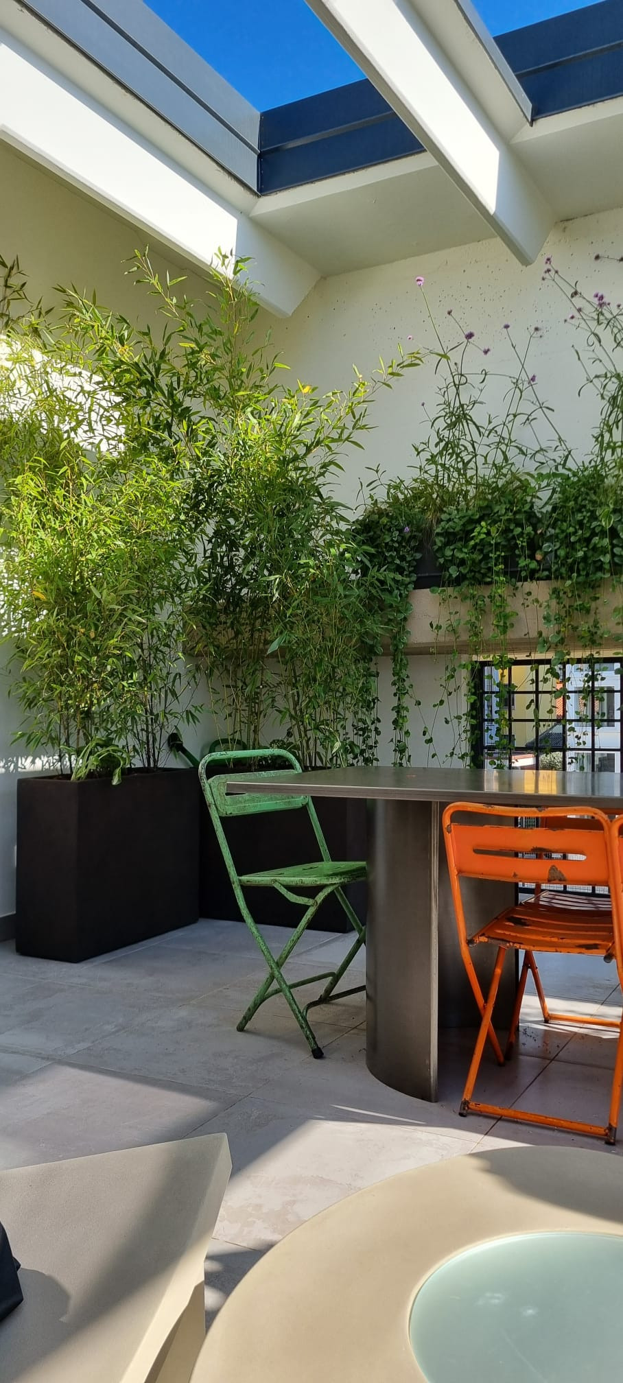 Realizzazione Wild in the city