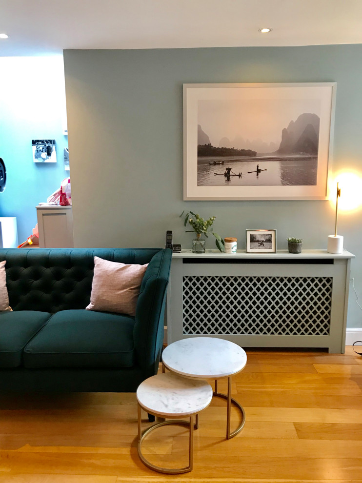 Putney Mews House - Living Room