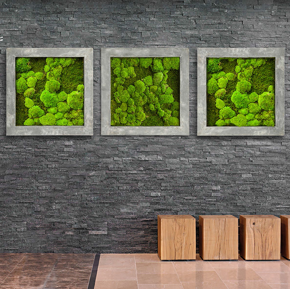 Фитокартины