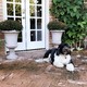 Bonnie Harms Design / Michael Harms Construction