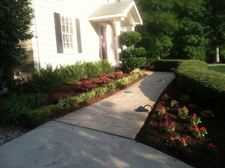Design ideas for a transitional landscaping in Raleigh.