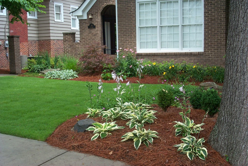Shade tolerant front yard design - Traditional - Landscape - Atlanta ...