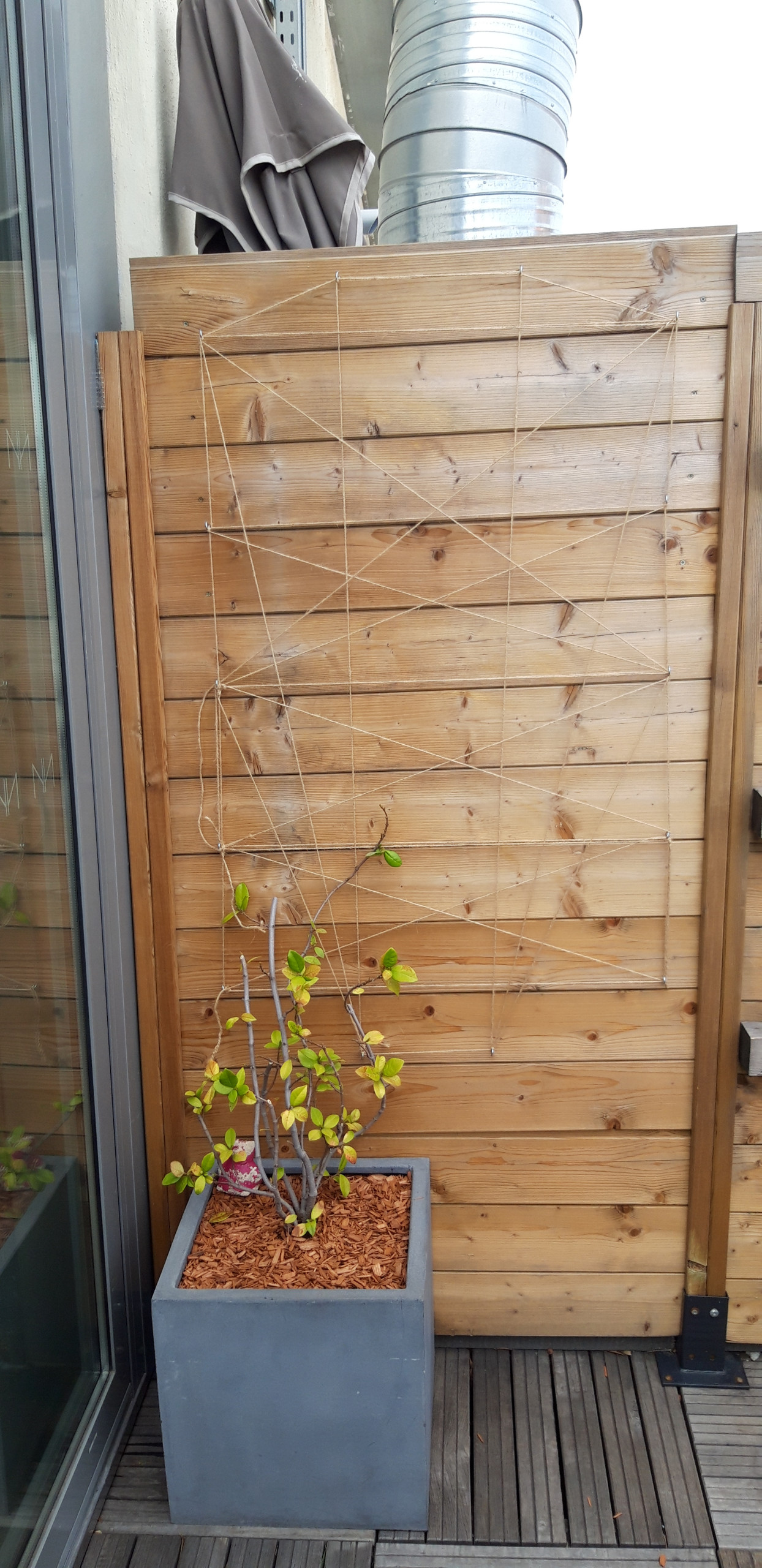 Aménagement d'une terrasse de 80m2