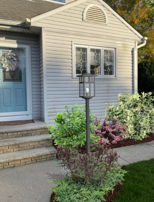 Foundation Plantings