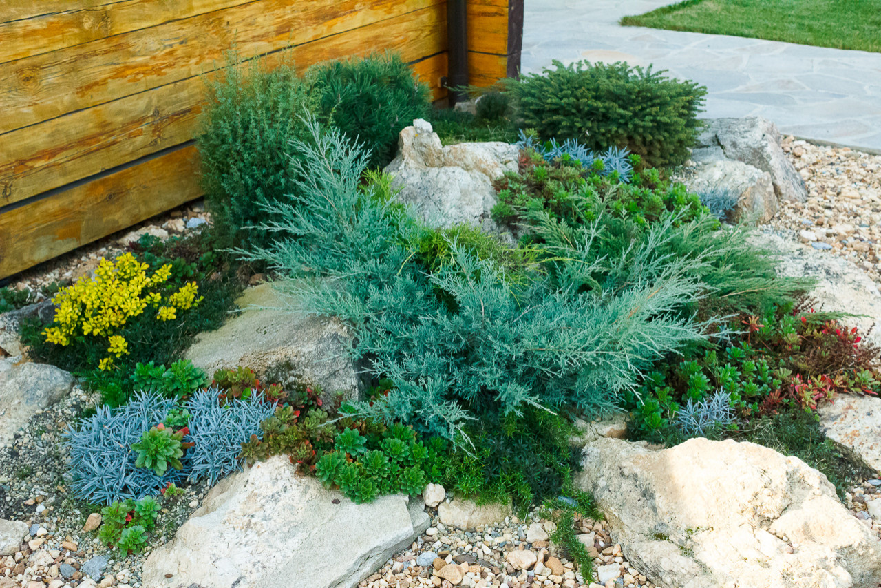 Минимализм в саду