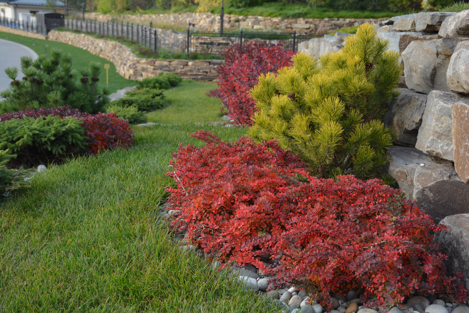 Сады осенью