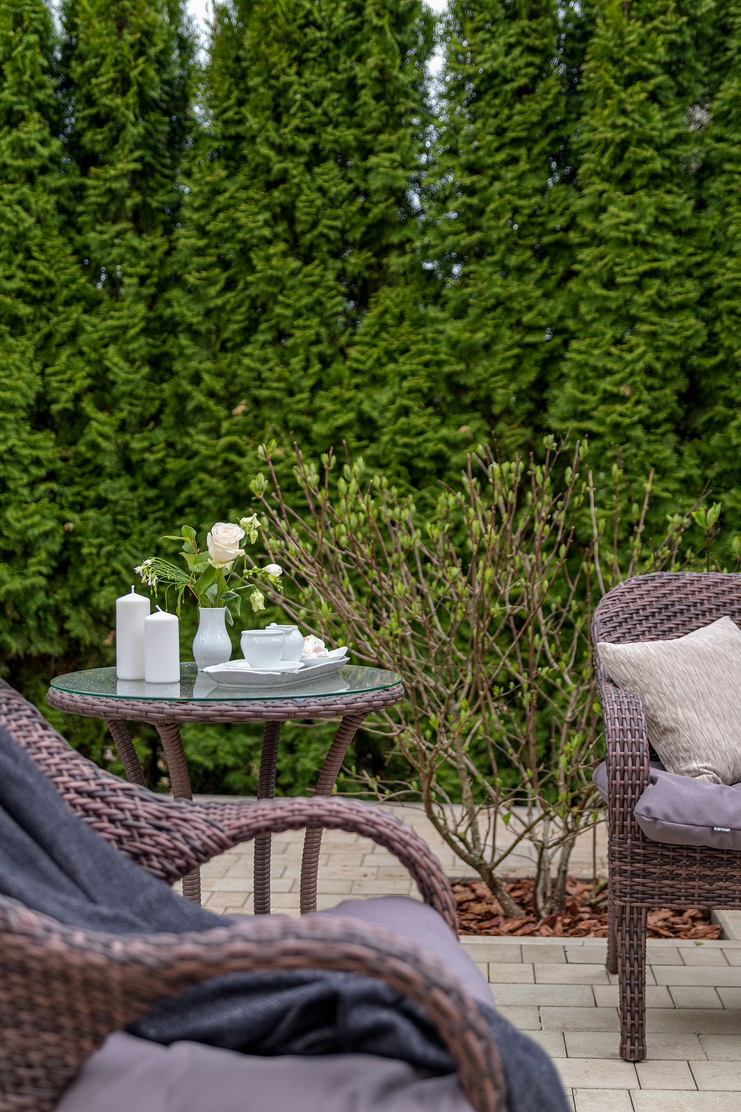 "На Дачу" к Татьяне Веденеевой