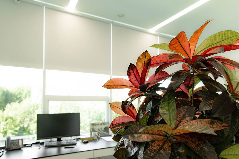 Рулонные шторы с тканью блэкаут