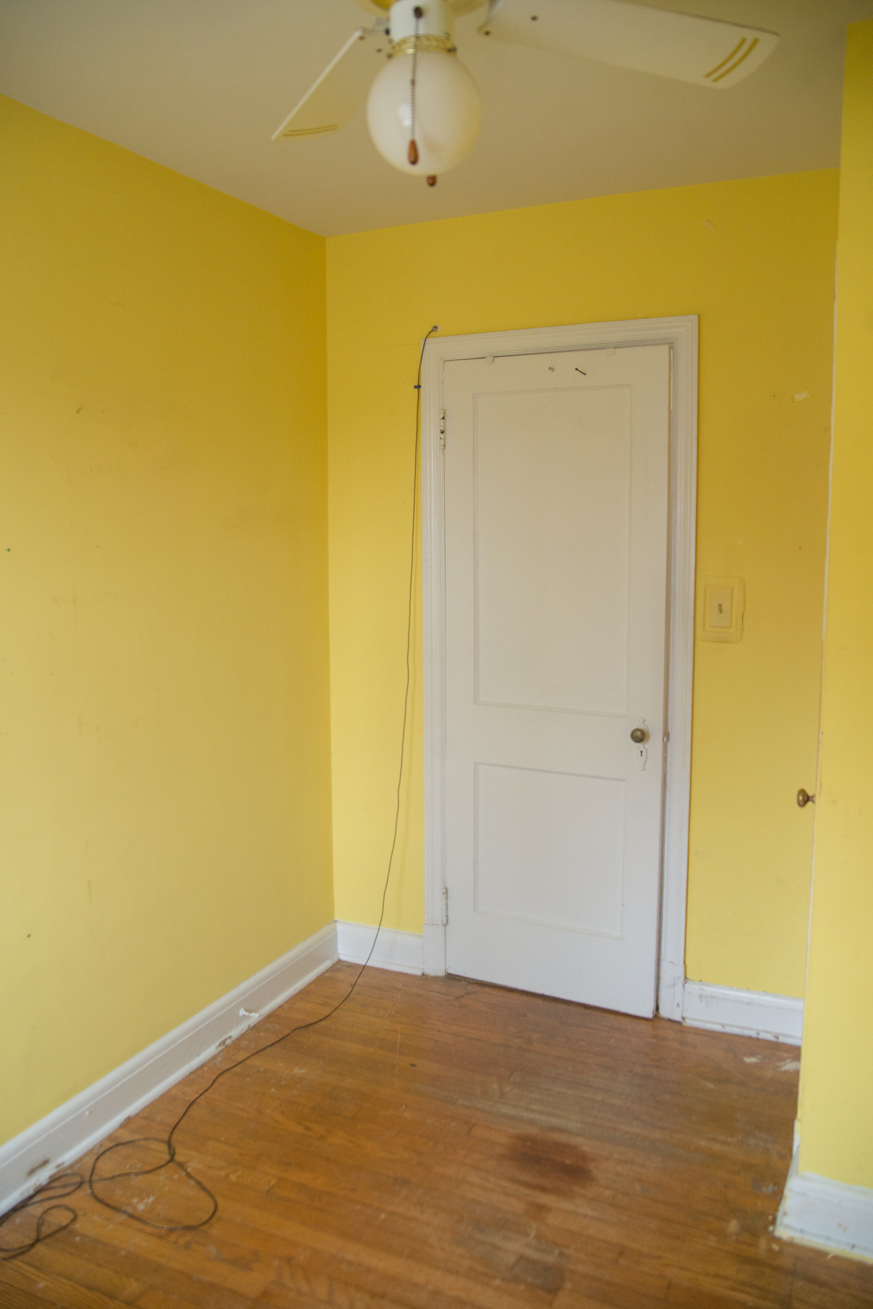 Whole-Home Renovation