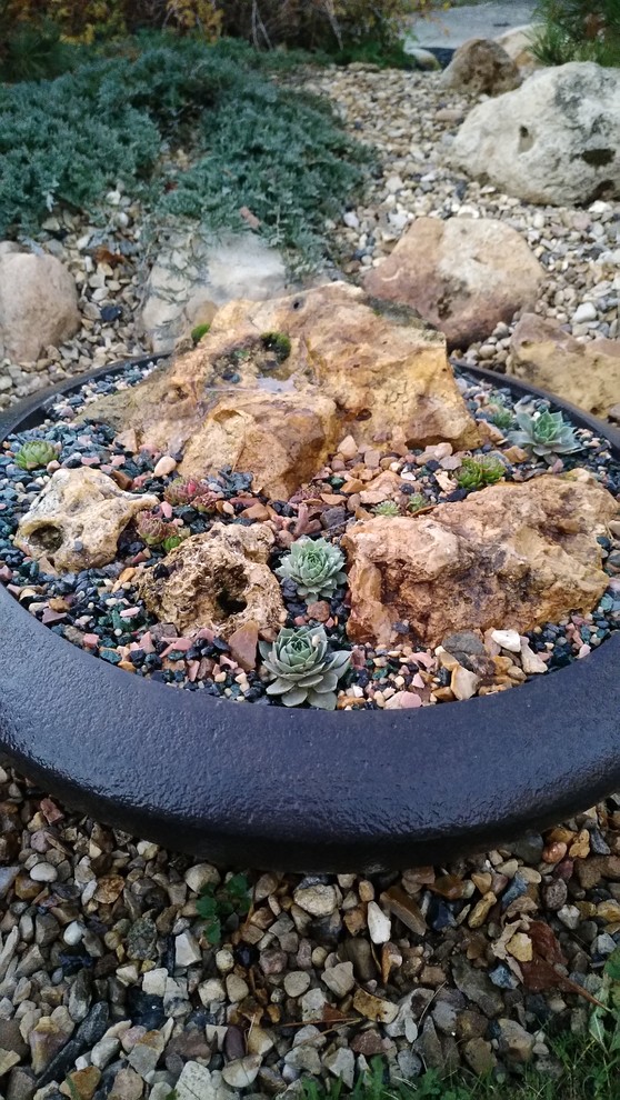 Альпинарии