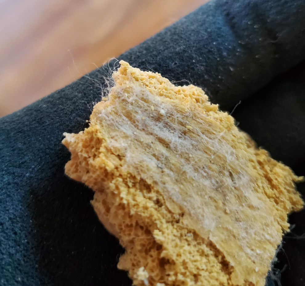 What are these fibers on old carpet underlay/padding?