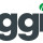 Green Grant Installs