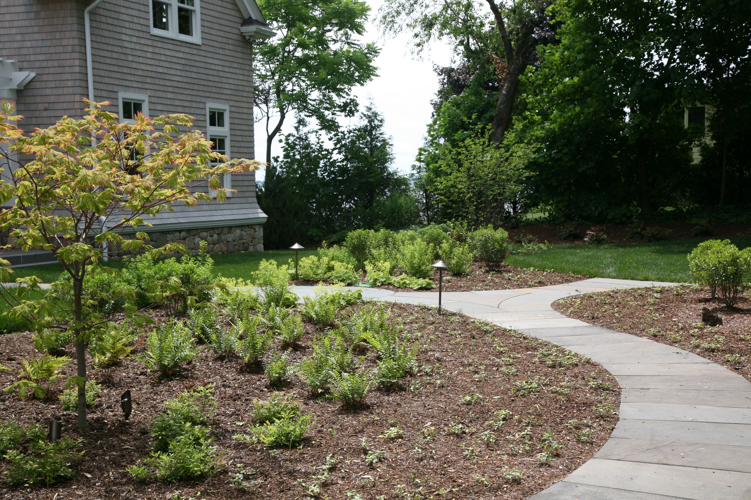 A bluestone path winds through the garden from guest parking to front entrance.