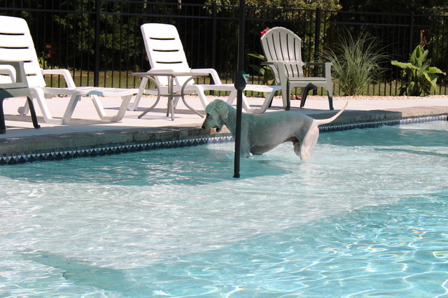 swimming pool sun shelf chairs