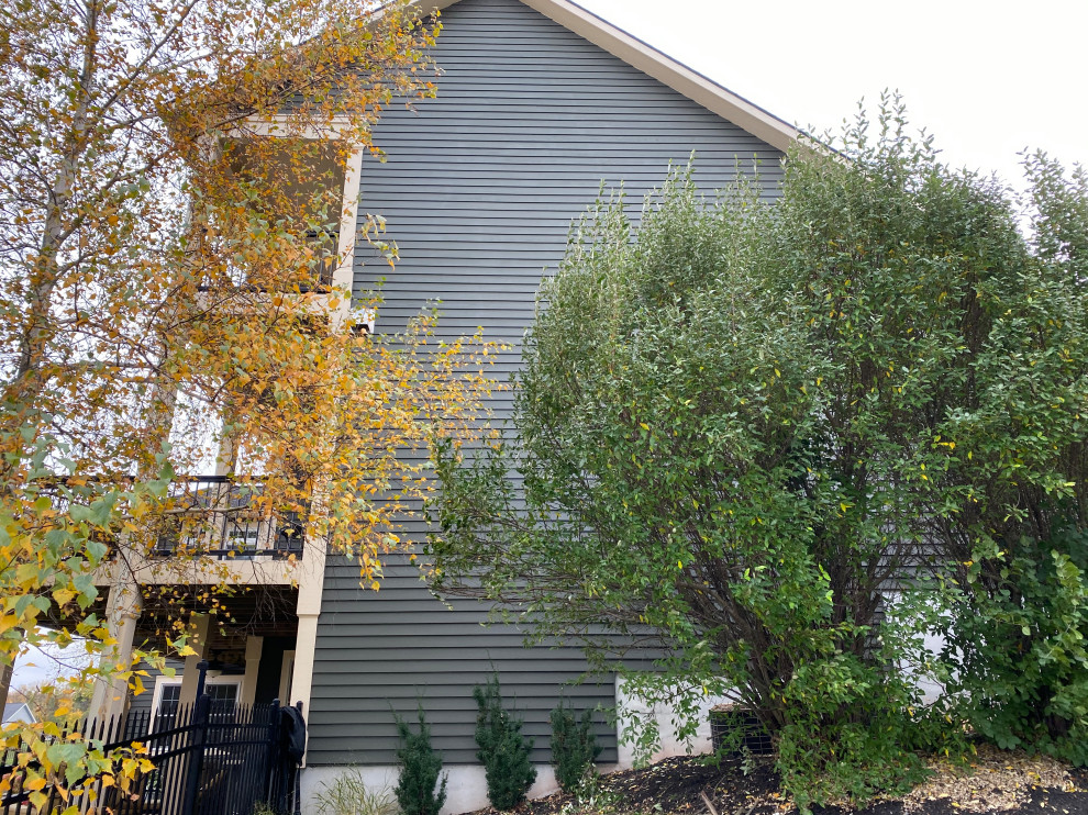 Exterior Repaint