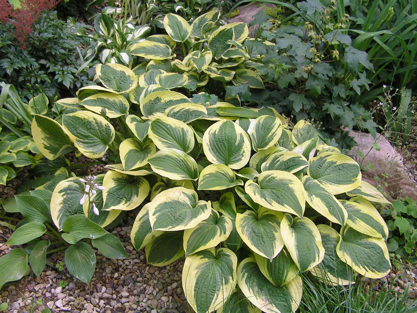 Наши работы