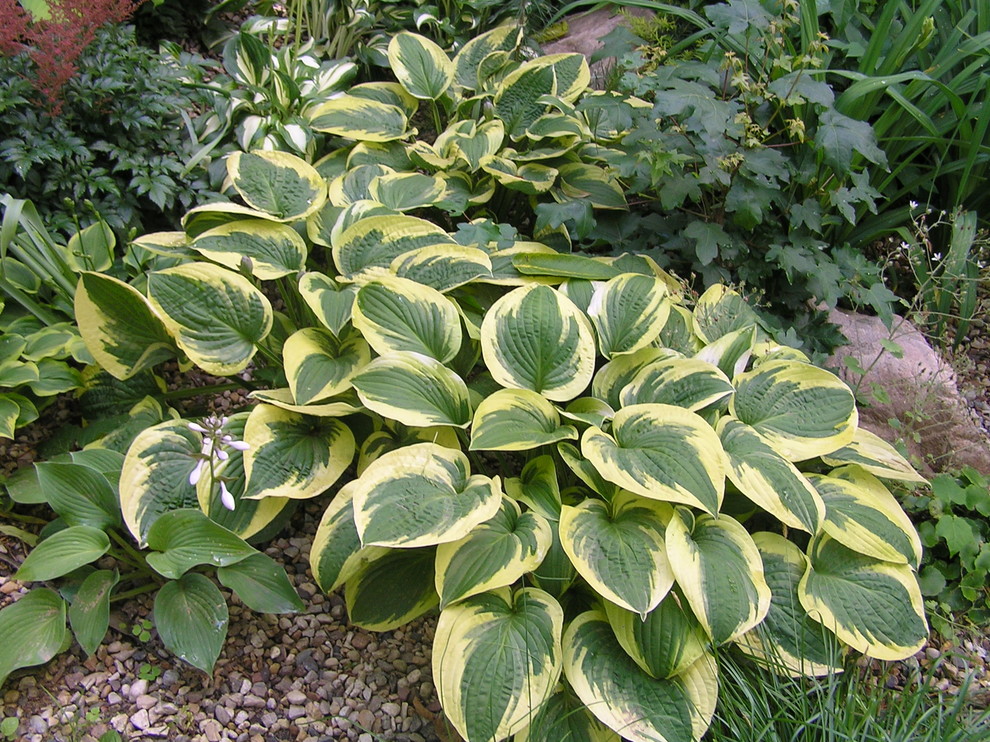 Наши работы