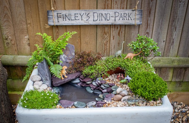 Mini Dinosaur Garden 
