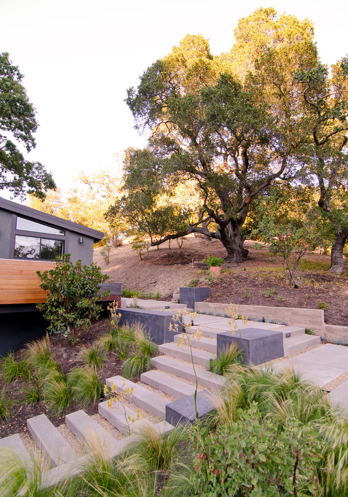 Large modern sloped full sun xeriscape in San Francisco with a retaining wall and gravel.