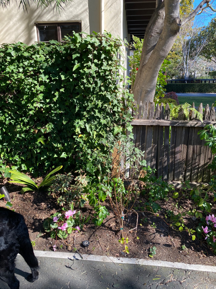Ejemplo de acceso privado tradicional renovado de tamaño medio en patio delantero con parterre de flores y exposición total al sol