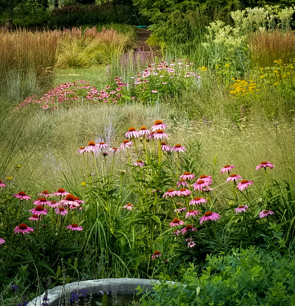 Imagen de jardín de secano campestre extra grande en verano en patio trasero con parterre de flores, exposición total al sol y gravilla