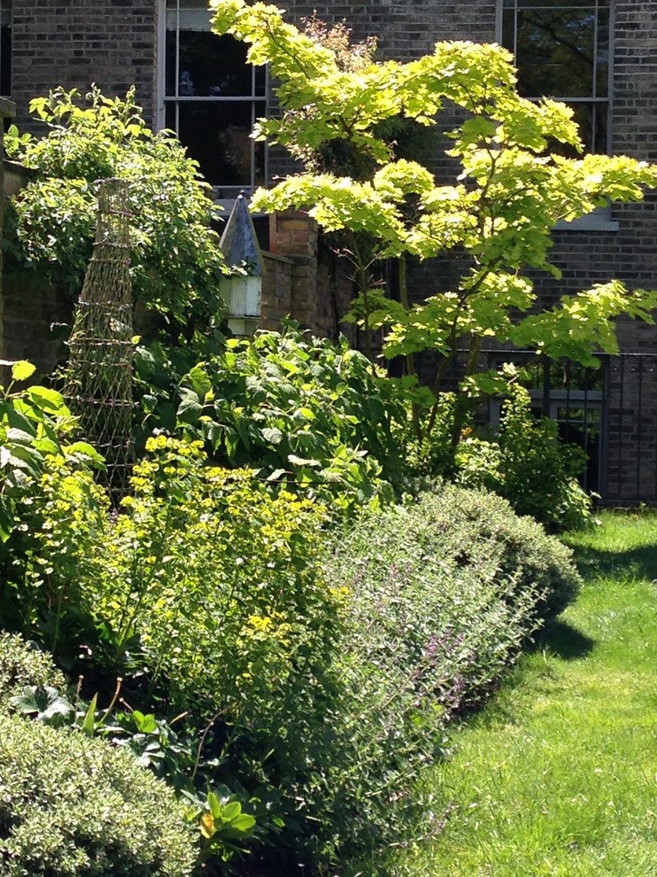 Photo of a traditional garden in London.