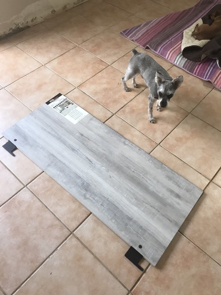 Vinyl floor and gray floor eat-in kitchen photo in Miami with no island