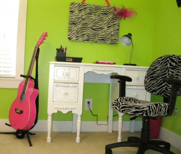 Teen girls pink and green zebra room
