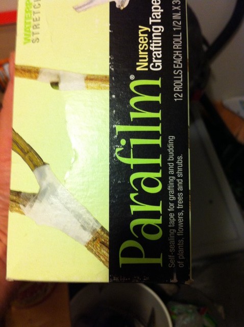 What Is Your Favorite Grafting Tape Or Method