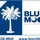Blue Moon Construction LLC