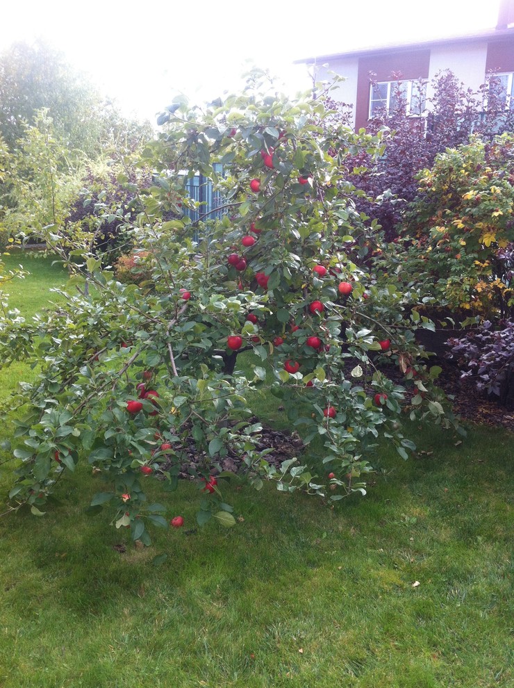 "Сад эгоист"