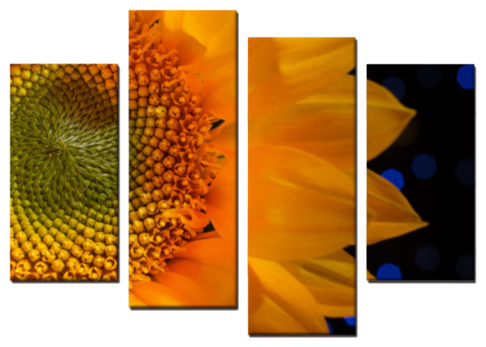 Close Up Sunflower 4 Piece Panels Canvas Prints Wall Art Set Symmetrical Farmhouse Prints And Posters By Pi Photography Wall Art Fine Art