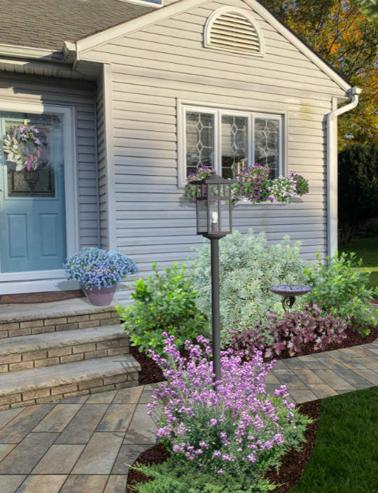Foundation Plantings