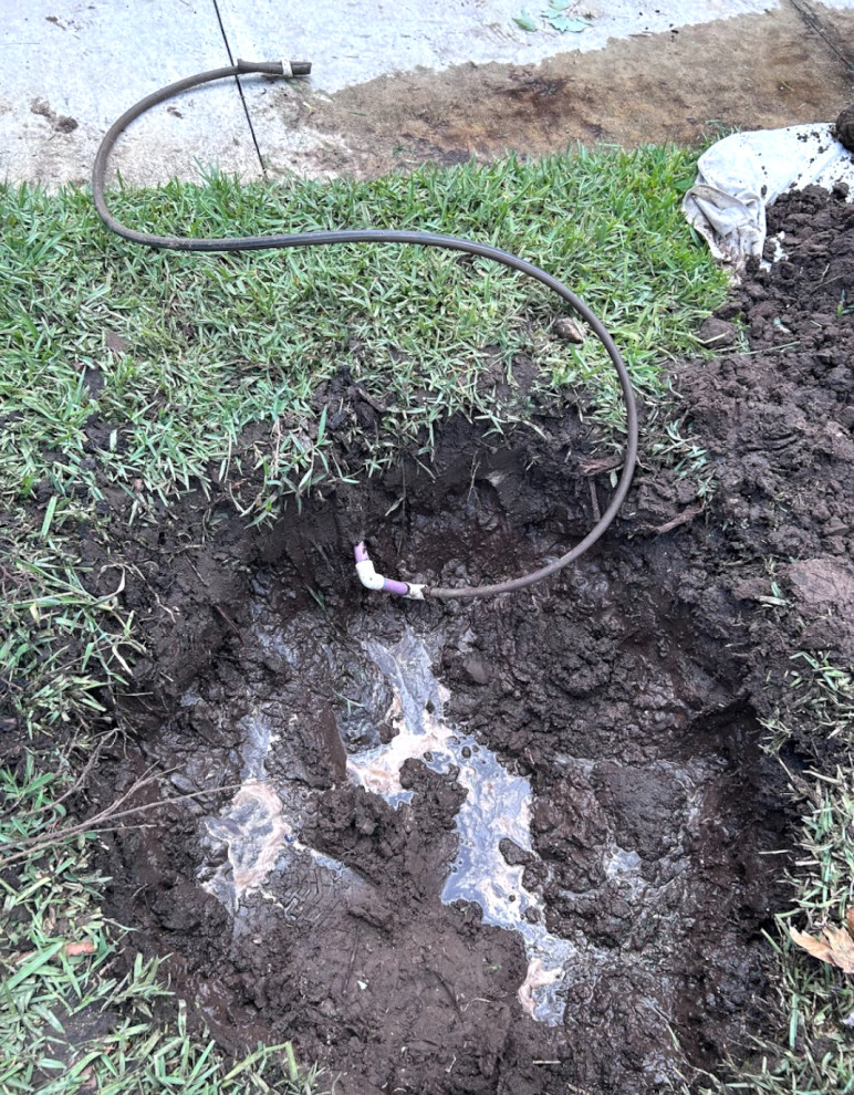 HOA Approved Tree Installation