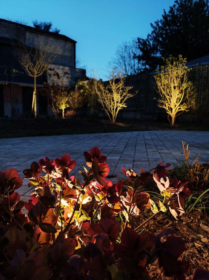 Redécouvrir le jardin le soir grâce à l'éclairage