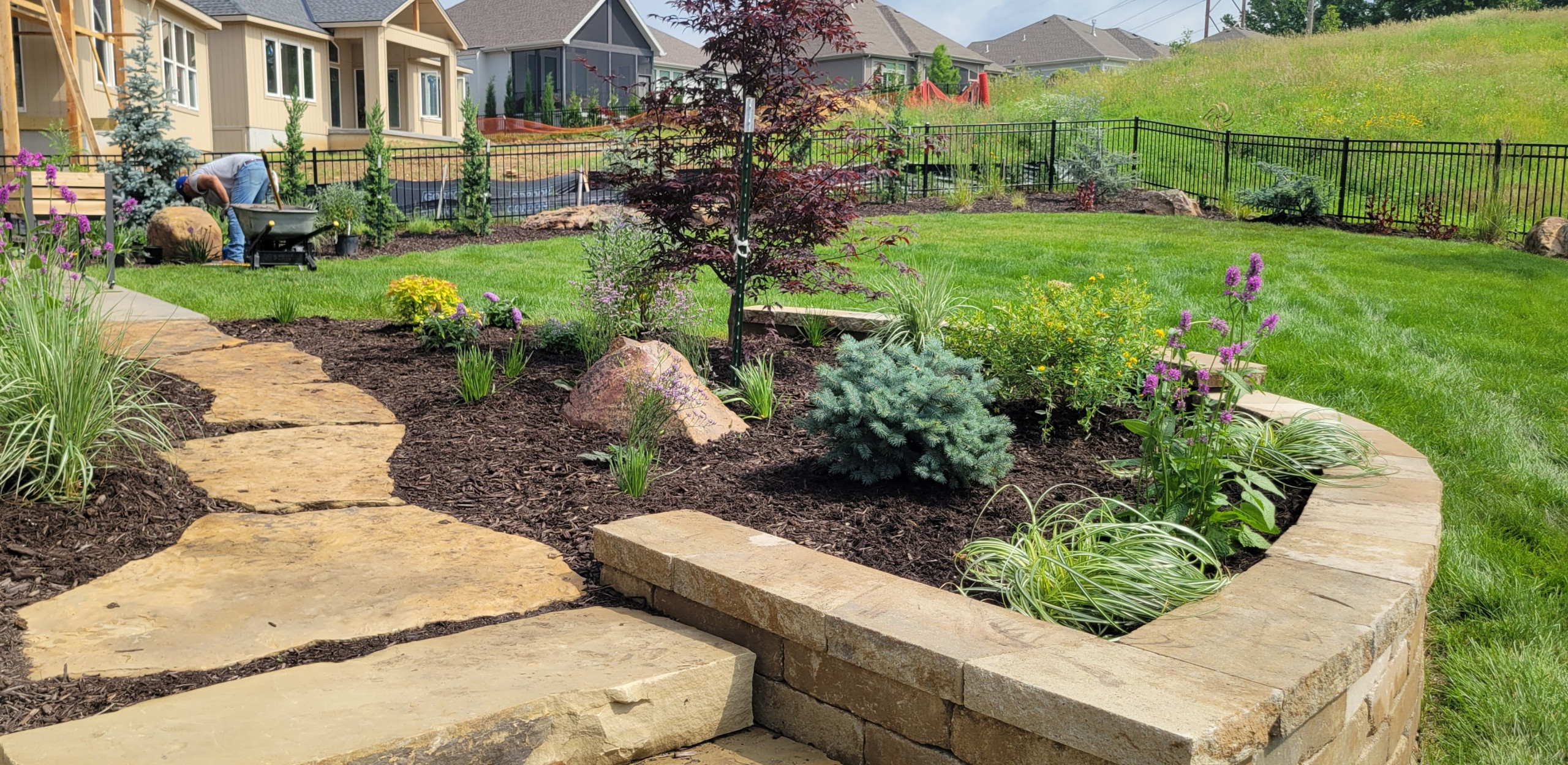 2025 Garden Highlights