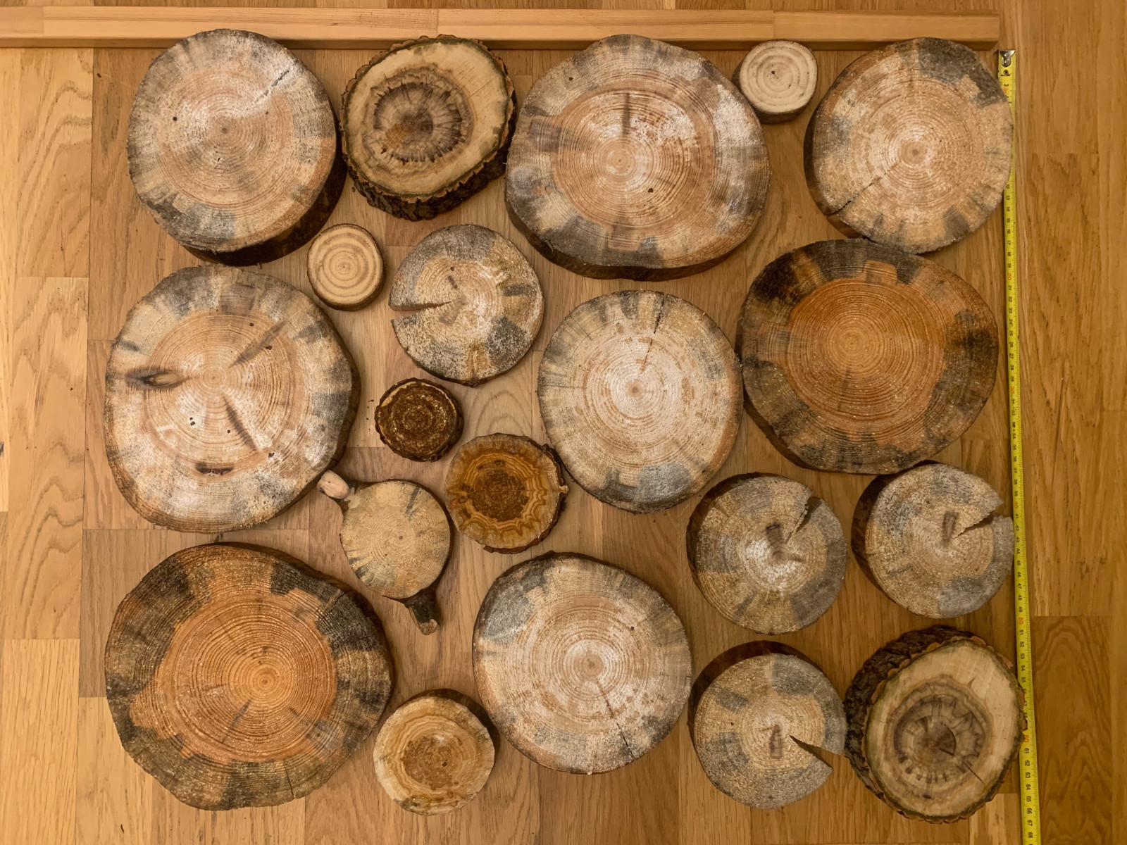 Дорожки садовые из спилов дерева (материалы для монтажа)