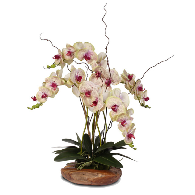 Real Touch Phalaenopsis Silk Orchid With Curly Willow in Natural Teak ...