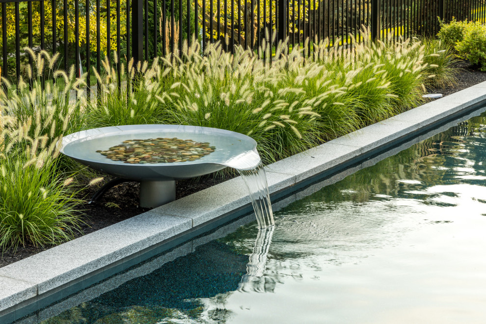 Modelo de piscina alargada minimalista grande rectangular en patio trasero con paisajismo de piscina y gravilla