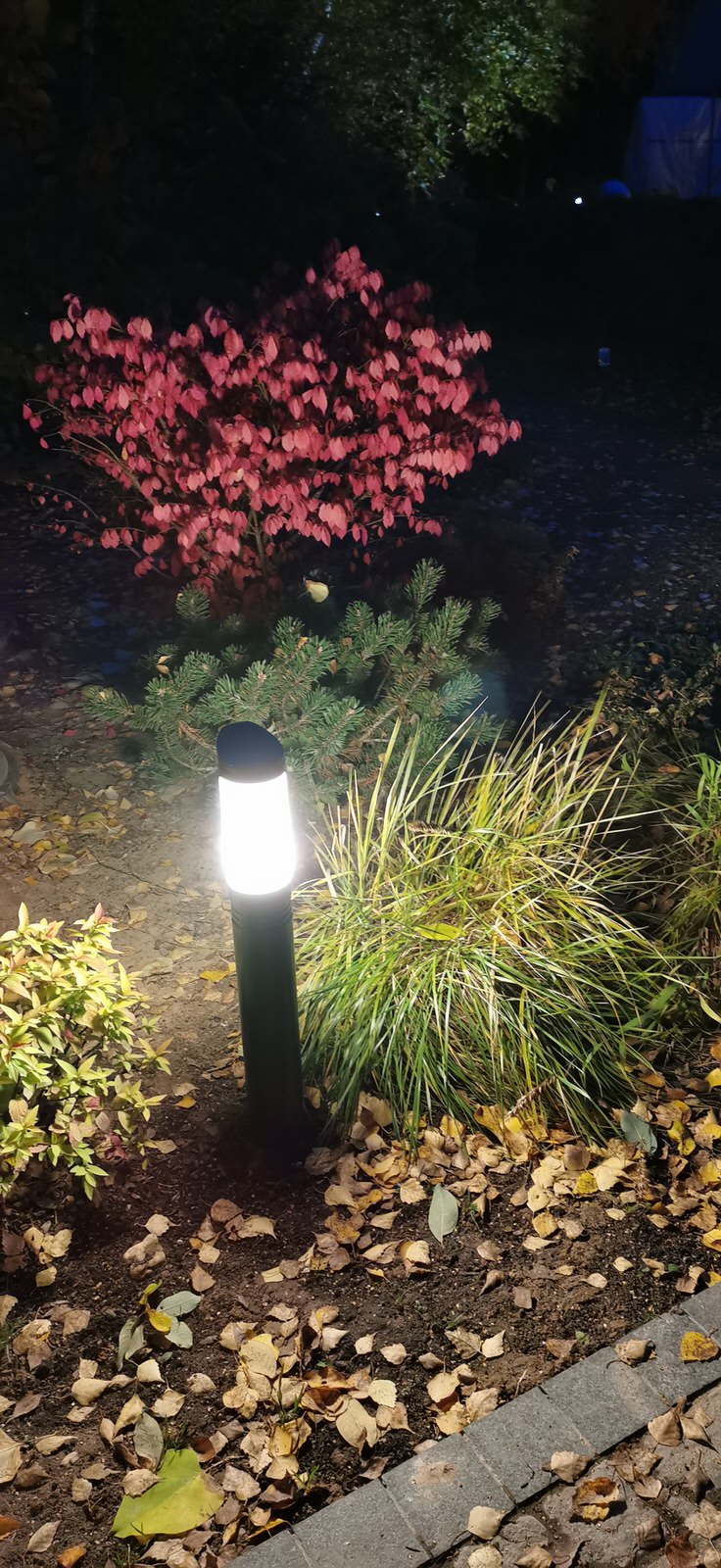 Благоустройство участка 20 соток в КП Пестово