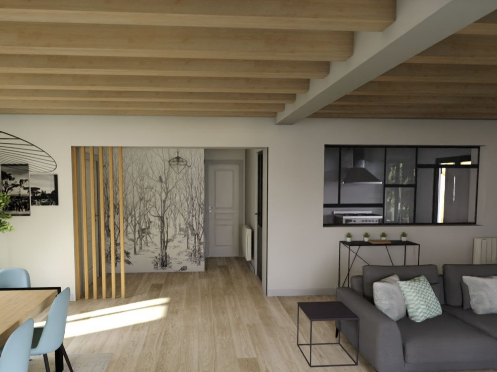 3D Rénovation maison ( projet déco et suivi travaux )