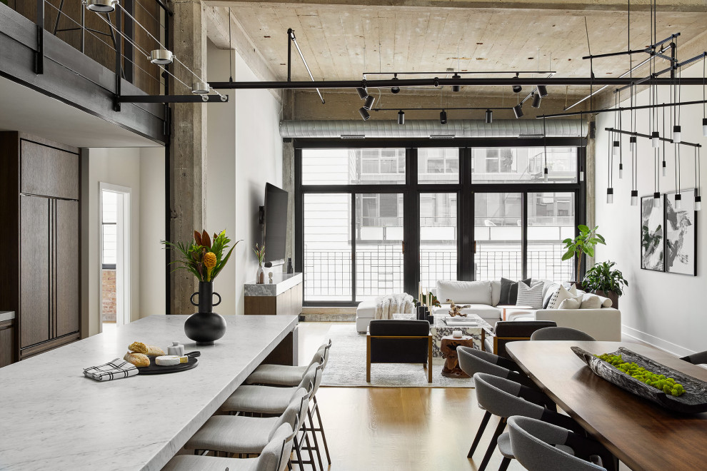 West Loop Penthouse Renovation - Modern - Chicago - by Devon Grace ...