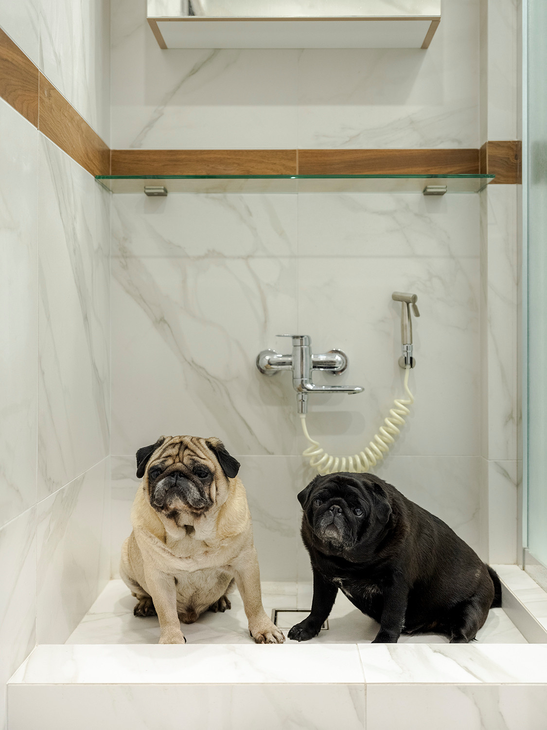 Квартира на ул. Большая Черкизовская